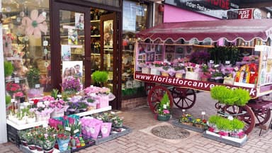 Plantwise Florist logo